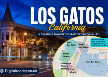los gatos california