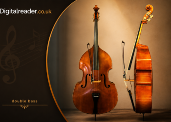 double bass