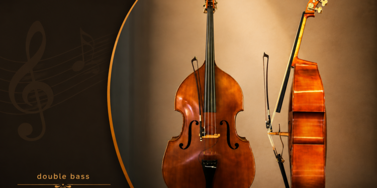 double bass